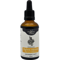 NANGA BYLICA ROCZNA ARTEMISIA WYCIĄG 1:1 50ml wsparcie: PRAWIDŁOWY CUKIER