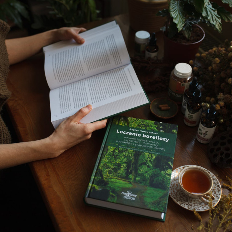 NATURALNE LECZENIE BORELIOZY I KOINFEKCJI S.H. BUHNER borelioza poradnik