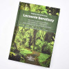 NATURALNE LECZENIE BORELIOZY I KOINFEKCJI S.H. BUHNER borelioza poradnik