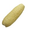 Kameleon Kulinarny LUFFA LOOFAH NATURALNA GĄBKA ROŚLINNA DO