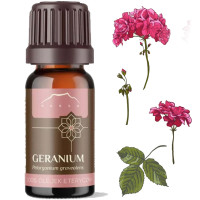 NANGA NATURALNY OLEJEK ETERYCZNY 100% GERANIUM GERANIOWY 10m