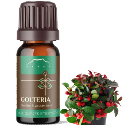 NANGA OLEJEK ETERYCZNY 100% GOLTERIA GOLTERIOWY