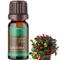 NANGA OLEJEK ETERYCZNY 100% GOLTERIA GOLTERIOWY
