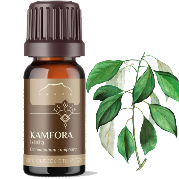 NANGA OLEJEK ETERYCZNY KAMFORA 10ml