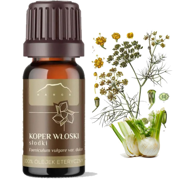 NANGA NATURALNY OLEJEK ETERYCZNY 100% KOPER WŁOSKI SŁODKI z kopru 10ml