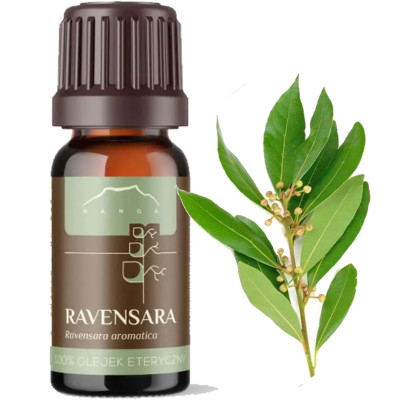 NANGA OLEJEK ETERYCZNY 100% RAVENSARA 10 ml