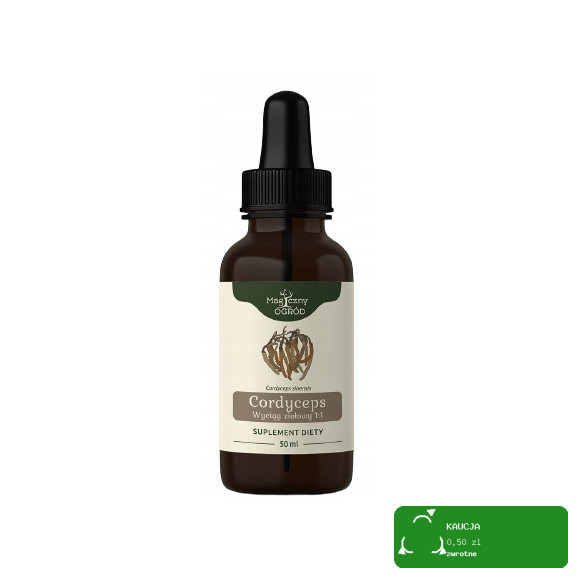 Big-Active PURE CEYLON HERBATA CZARNA 100% 25 TOREBEK 37,5 G