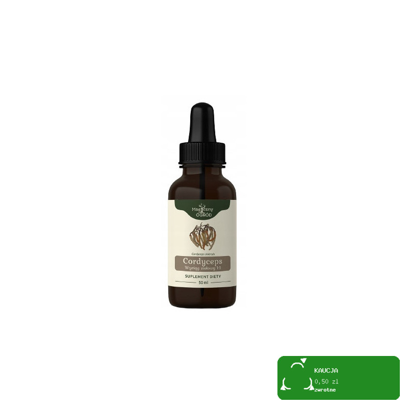 Big-Active PURE CEYLON HERBATA CZARNA 100% 25 TOREBEK 37,5 G