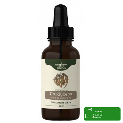 Big-Active PURE CEYLON HERBATA CZARNA 100% 25 TOREBEK 37,5 G