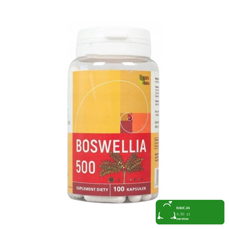 Szubryt GROCHÓWKA WOJSKOWA Z ŻEBERKIEM I BOCZKIEM gęsta aromatyczna 480g