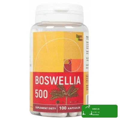 Szubryt GROCHÓWKA WOJSKOWA Z ŻEBERKIEM I BOCZKIEM gęsta aromatyczna 480g