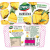 Łowicz DŻEM ANANAS z ananasa NISKOSŁODZONY 280g słoik 