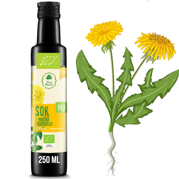 SOK Z MNISZKA LEKARSKIEGO mniszek lekarski ekologiczn EKO 250ml DARY NATURY