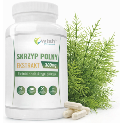 WISH SKRZYP POLNY EKSTRAKT wparcie WŁOSY SKÓRA DETOX 90 KAPSUŁEK 