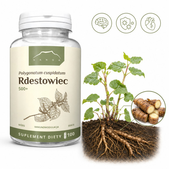 NANGA RDESTOWIEC100 kapsułek 500mg MÓZG SERCE ODPORNOŚĆ