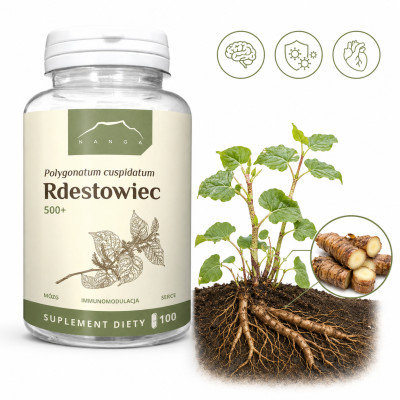 NANGA RDESTOWIEC100 kapsułek 500mg MÓZG SERCE ODPORNOŚĆ