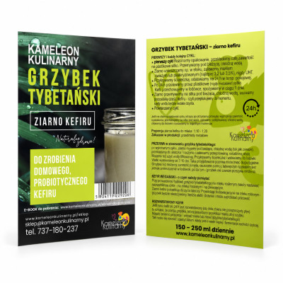 ULOTKA - GRZYBEK TYBETAŃSKI