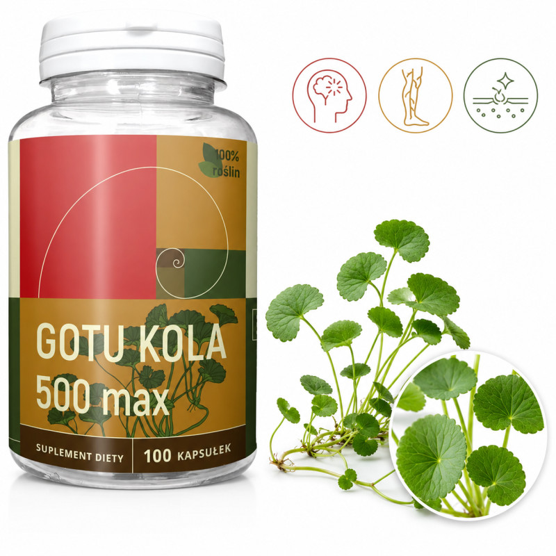 NANGA GOTU KOLA MAX 100k Wąkrotka SEN STRES KONCENTRACJA KRÓTKA DATA
