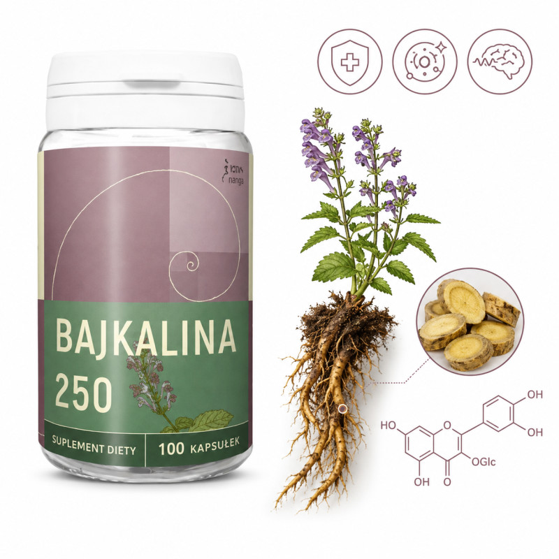 NANGA BAJKALINA TARCZYCA BAJKALSKA 250mg 100 ZMĘCZENIE INFEKCJE KRÓTKA DATA