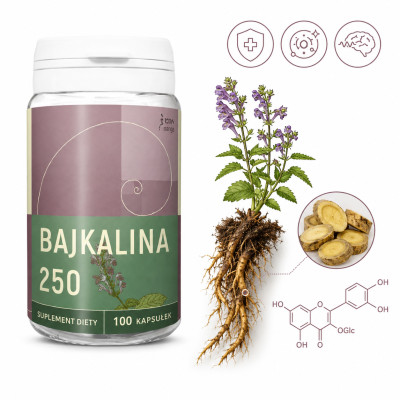 NANGA BAJKALINA TARCZYCA BAJKALSKA 250mg 100 ZMĘCZENIE INFEKCJE KRÓTKA DATA