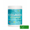 Wish KOLAGEN niskocząsteczkowy Wildmarine 10000MG SKÓRA WŁOSY 400G