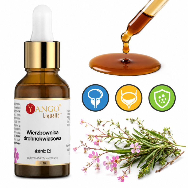 Yango WIERZBOWNICA DROBNOKWIATOWA ekstrakt 10:1 - 30 ml pomoc PROSTATA