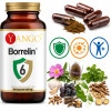 Yango BORRELIN 6 protokół BUHNERA wsparcie BORELIOZA ODPORNOŚĆ 490mg 100kps
