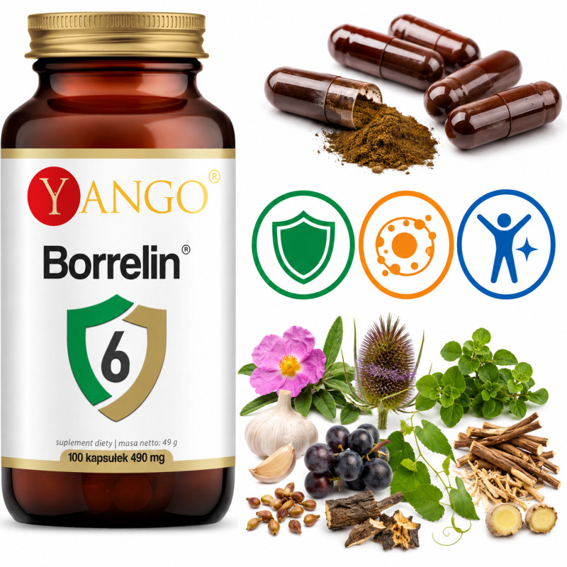 Yango BORRELIN 6 protokół BUHNERA wsparcie BORELIOZA ODPORNOŚĆ 490mg 100kps