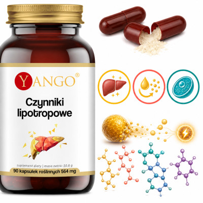 Yango CZYNNIKI LIPOTROPOWE 90kapsułek wsparcie METABOLIZM TŁUSZCZÓW WĄTROBA