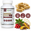 Wish BERBERYS EKSTRAKT 5:1 z korzenia 400mg 120 kaps wsparcie POZIOM CUKRU