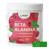 Wish BETA ALANINA + WITAMINA B6  MALINA MIĘTA PRZEDTRENINGOWA