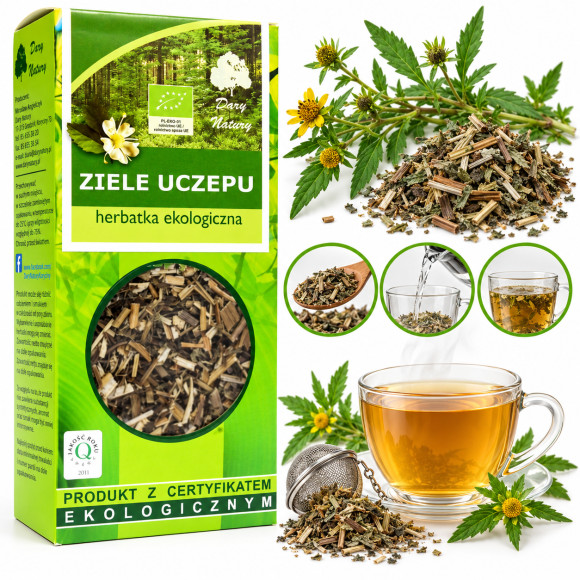 UCZEP ZIELE UCZEPU 50g EKO wsparcie na OCZYSZCZANIE ODTRUWANIE Dary Natury