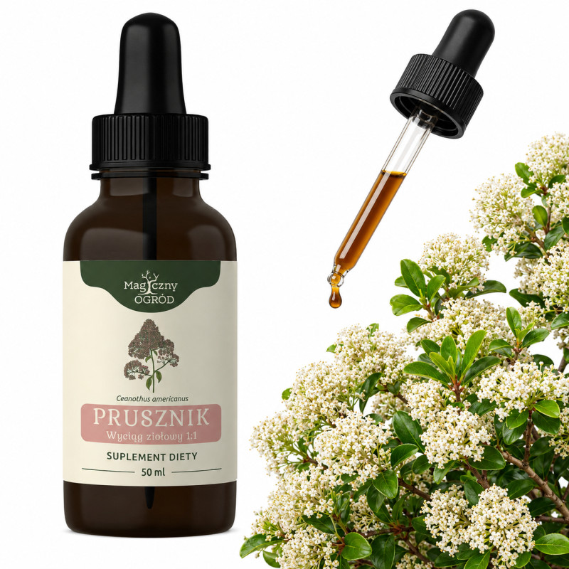 NANGA wyciąg ziołowy PRUSZNIK AMERYKAŃSKI 50ml
