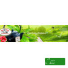 MALWA HERBATA ZIELONA PREMIUM SMAKOWA AROMATYZOWANA ŻURAWINA 100g 0,1KG