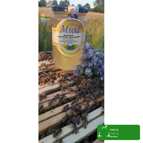 MIÓD WIELOKWIATOWY 25g x 6szt = 150G 0,15KG MAŁE MIODKI MIODEK ŁOWICZ