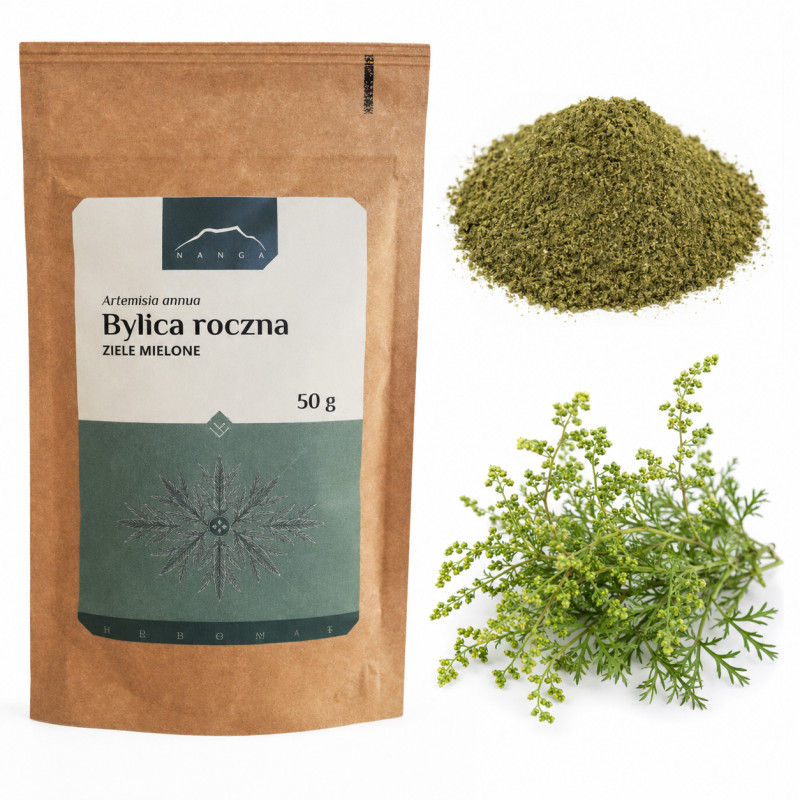NANGA BYLICA ROCZNA MIELONA suszona ZIELE BYLICY susz Artemisia annua 50g