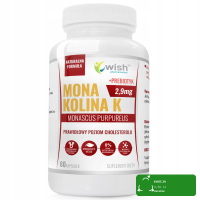 Wish MONAKOLINA K Ryż czerwony + PREBIOTYK 60kaps wspiera CHOLESTEROL SERCE
