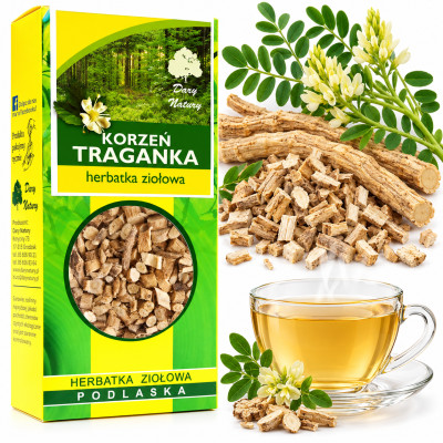 TRAGANEK KORZEŃ TRAGANKA 50g DARY Adaptogen wsparcie ODPORNOŚĆ STARZENIE