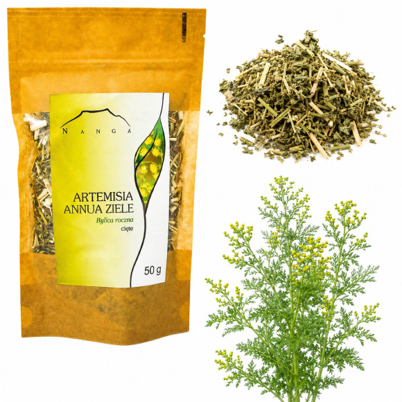 NANGA BYLICA ROCZNA suszona ZIELE BYLICY CIETE susz Artemisia annua 50g