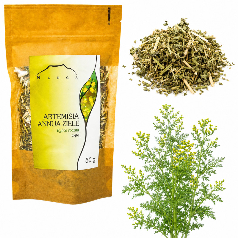 NANGA BYLICA ROCZNA suszona ZIELE BYLICY CIETE susz Artemisia annua 50g