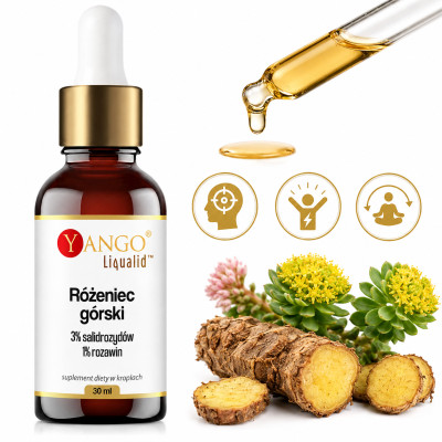 Yango RÓŻENIEC GÓRSKI 30ml krople ADAPTOGEN wsparcie STRES ZMĘCZENIE LĘKI