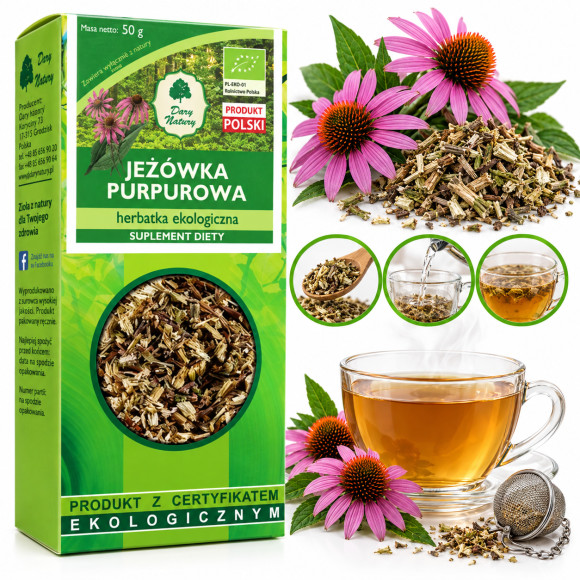 JEŻÓWKA PURPUROWA ziele JEŻÓWKI 50g susz EKO DARY NATURY wsparcie ODPORNOŚĆ