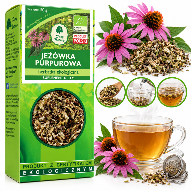 JEŻÓWKA PURPUROWA ziele JEŻÓWKI 50g susz EKO DARY NATURY wsparcie ODPORNOŚĆ