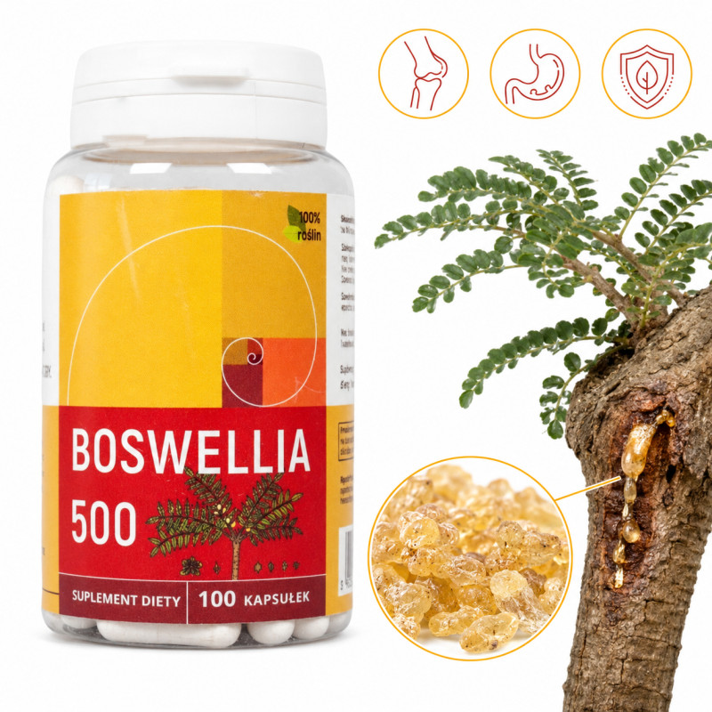 NANGA BOSWELLIA serrata 500mg 100k  Kadzidłowiec wsparcie: STAWY CHOLESTEROL