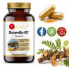 Yango BOSWELLIA 65 CHOLESTEROL STAWY PAMIĘĆ PRZEWÓD POKARMOWY 60kaps. 460mg