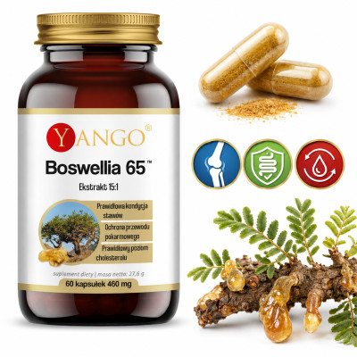 Yango BOSWELLIA 65 CHOLESTEROL STAWY PAMIĘĆ PRZEWÓD POKARMOWY 60kaps. 460mg