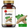 Yango KUDZU KORZEŃ 90kps wsparcie NAŁOGI UZALEŻNIENIA U. KRWIONOŚNY NERWOWY