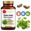 Yango GOTU KOLA 100kaps. Wąkrota Azjatycka PRAWIDŁOWA PRACA MÓZGU SERCA