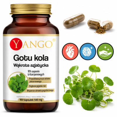 Yango GOTU KOLA 100kaps. Wąkrota Azjatycka PRAWIDŁOWA PRACA MÓZGU SERCA