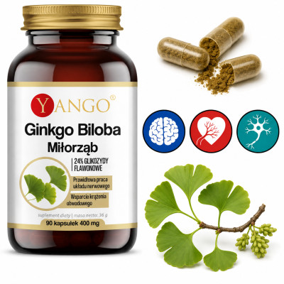 Yango GINKGO BILOBA 100mg 90kaps MIŁORZĄB wsparcie: UMYSŁ PAMIĘĆ U. NERWOWY